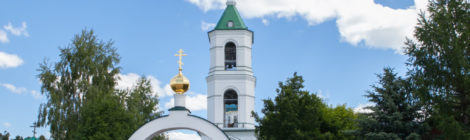 Архиерейское богослужение в Троицком храме с. Шарапово 16 июня 2019 года