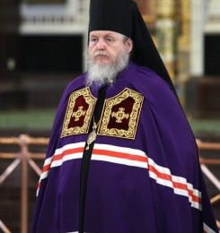 Балашихинская и Орехово-Зуевская епархия