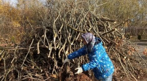 Благоустройство храма Архангела Михаила с. Пышлицы